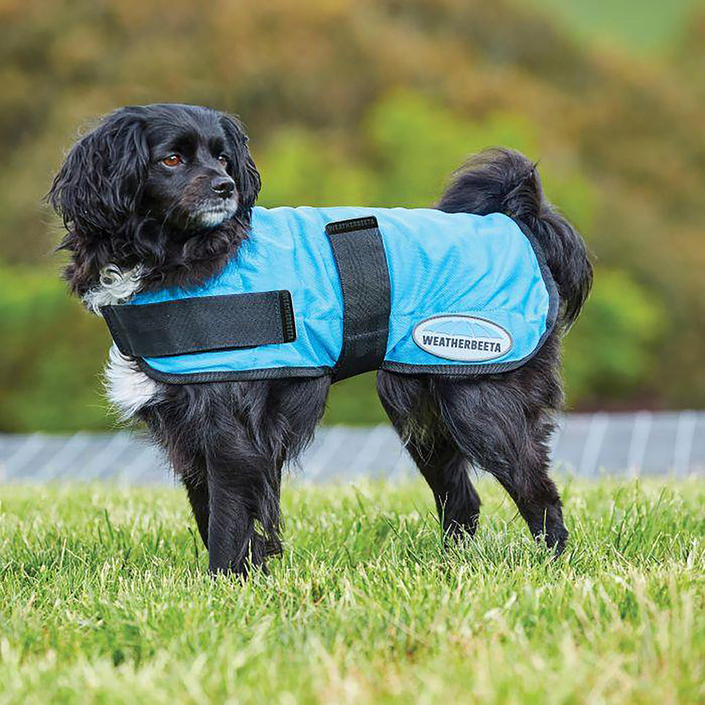 Therapy-Tec Cooling Dog Coat