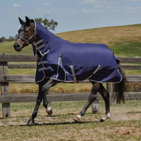 ComFiTec Essential Combo Neck Lite Plus 50g Turnout Rug