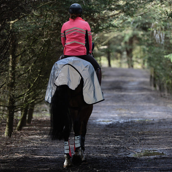 Reflective Wrap Exercise Sheet