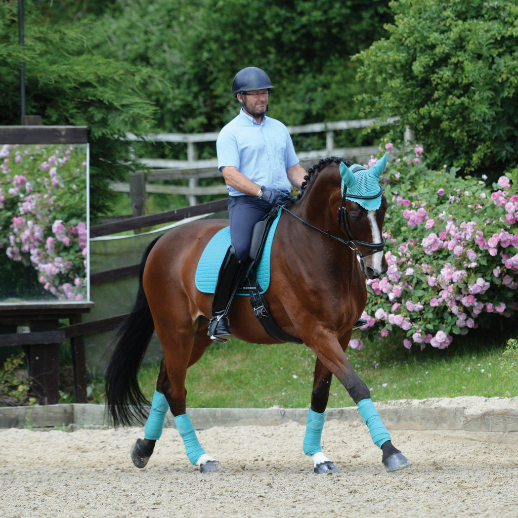 Prime Fly Veil Turquoise