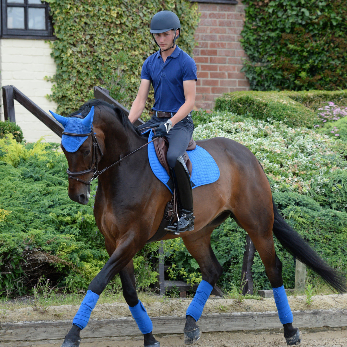 Prime Jump Saddle Pad Royal Blue