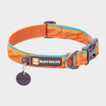 Flat Out Dog Collar