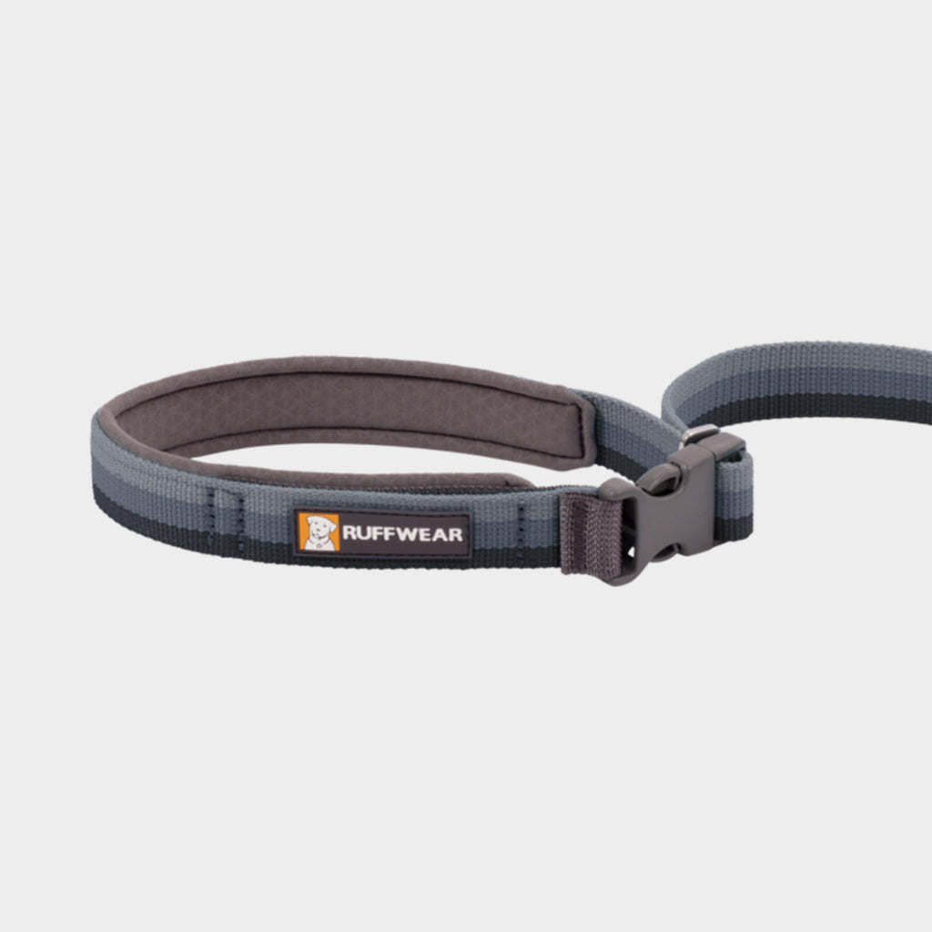 Roamer Bungee Dog Leash