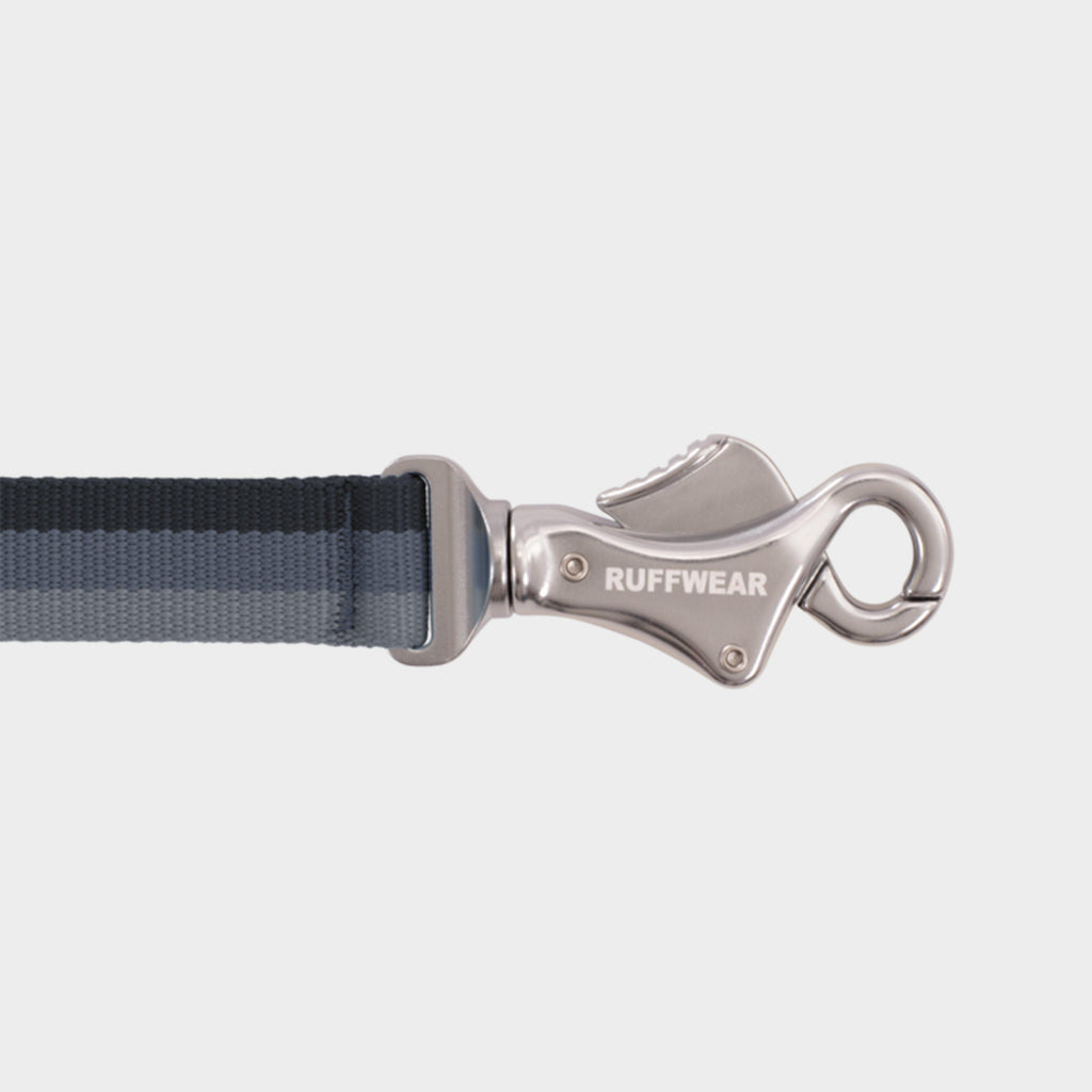 Roamer Bungee Dog Leash