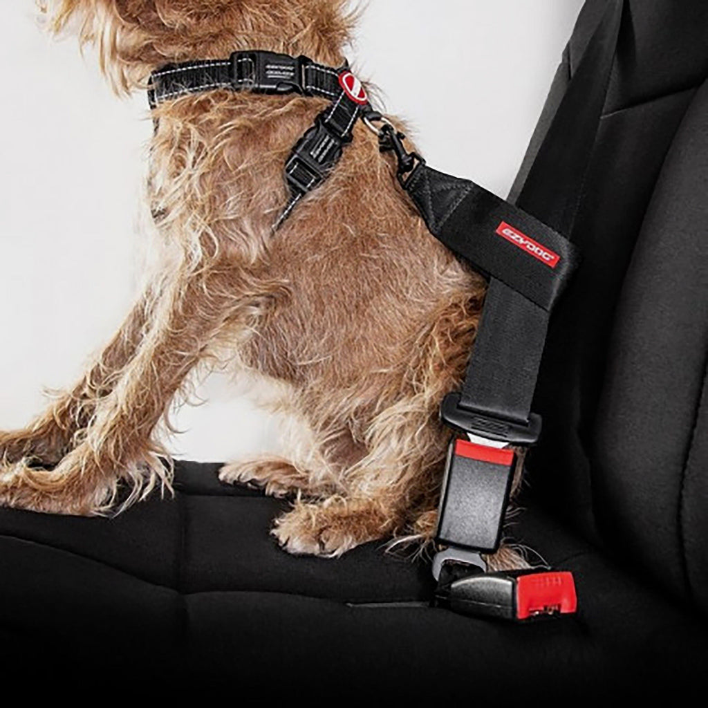 Dog Seat Belt Restraint
