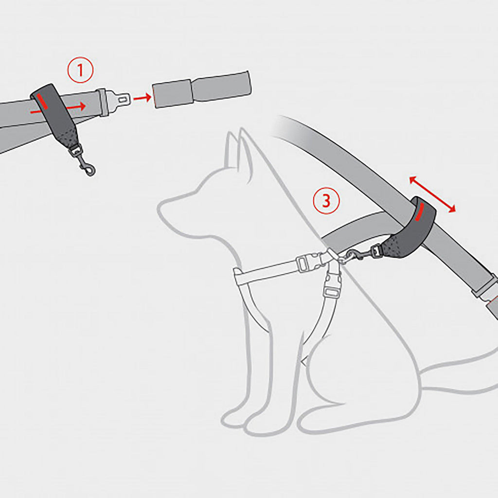 Dog Seat Belt Restraint