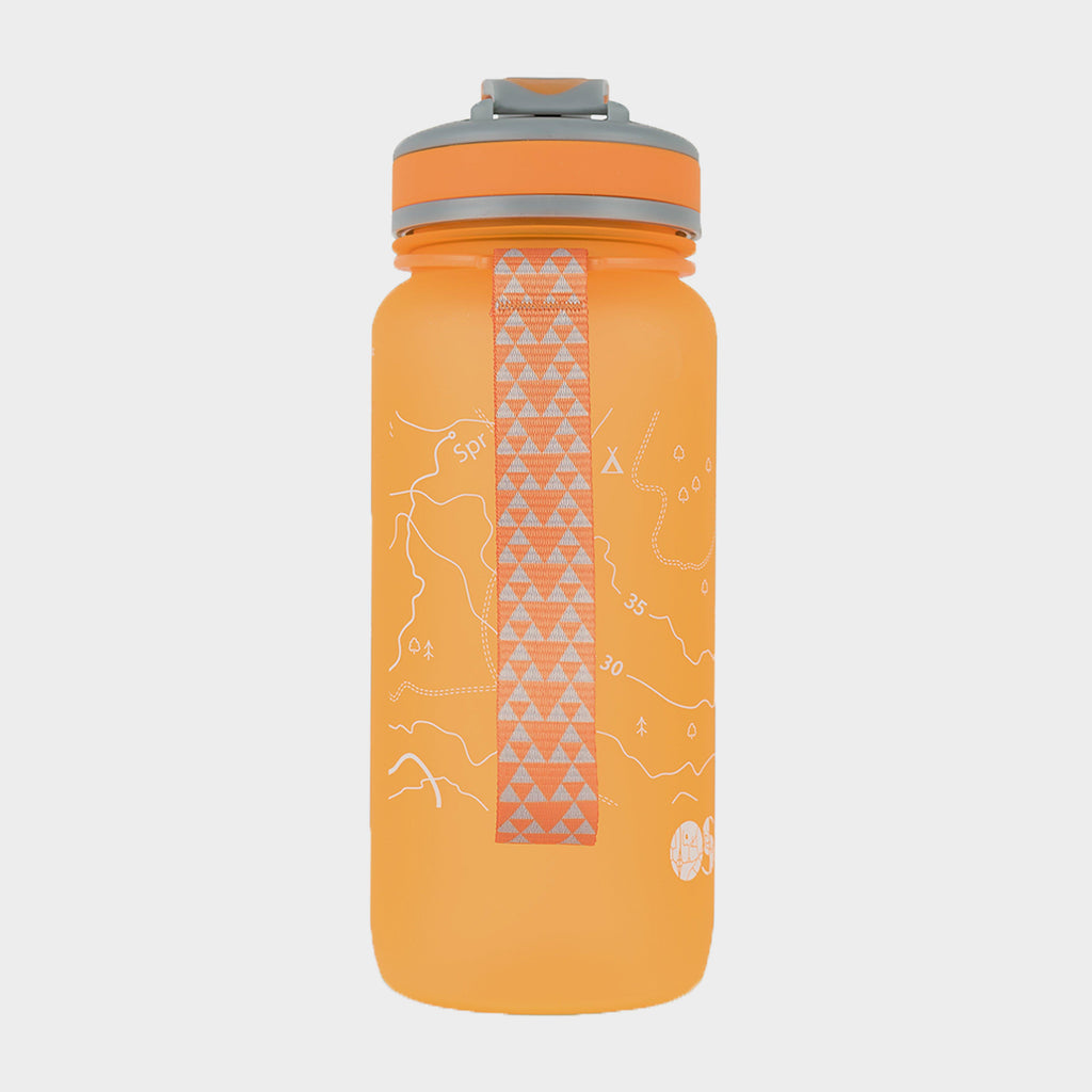 Water Bottle (650ml)