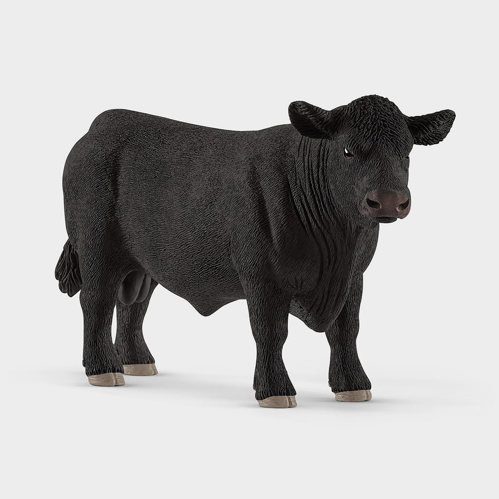 Black Angus Bull