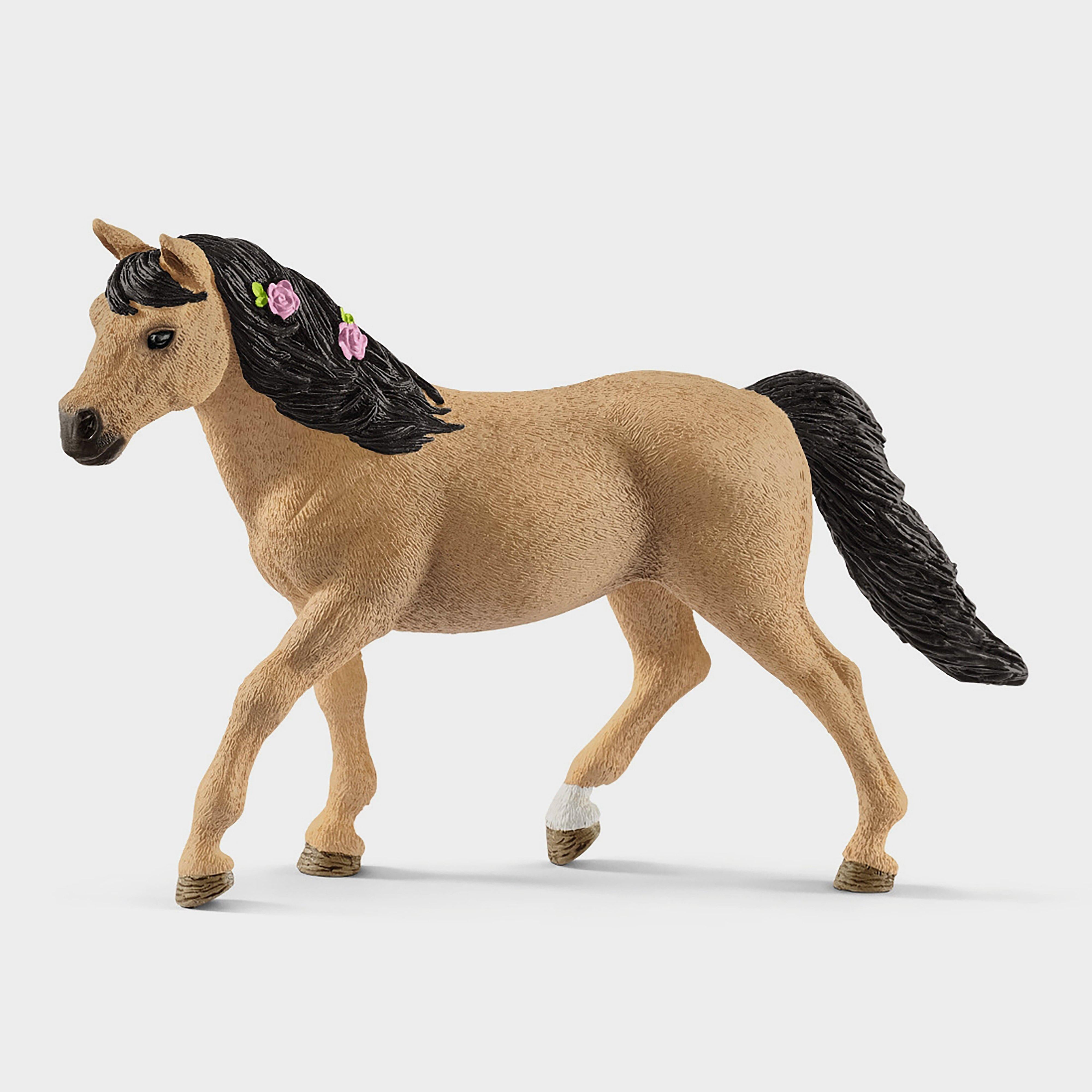 Connemara Pony Mare