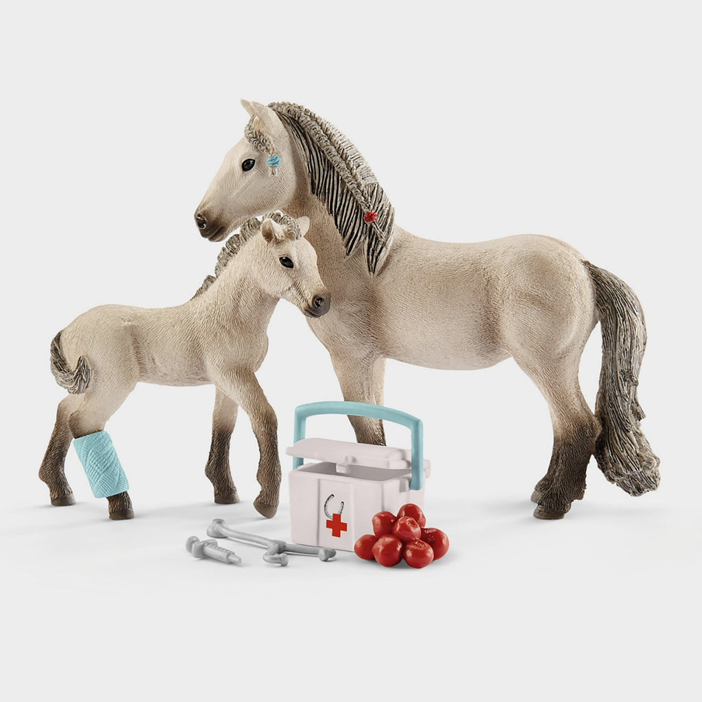 First Aid & Icelandic Pony