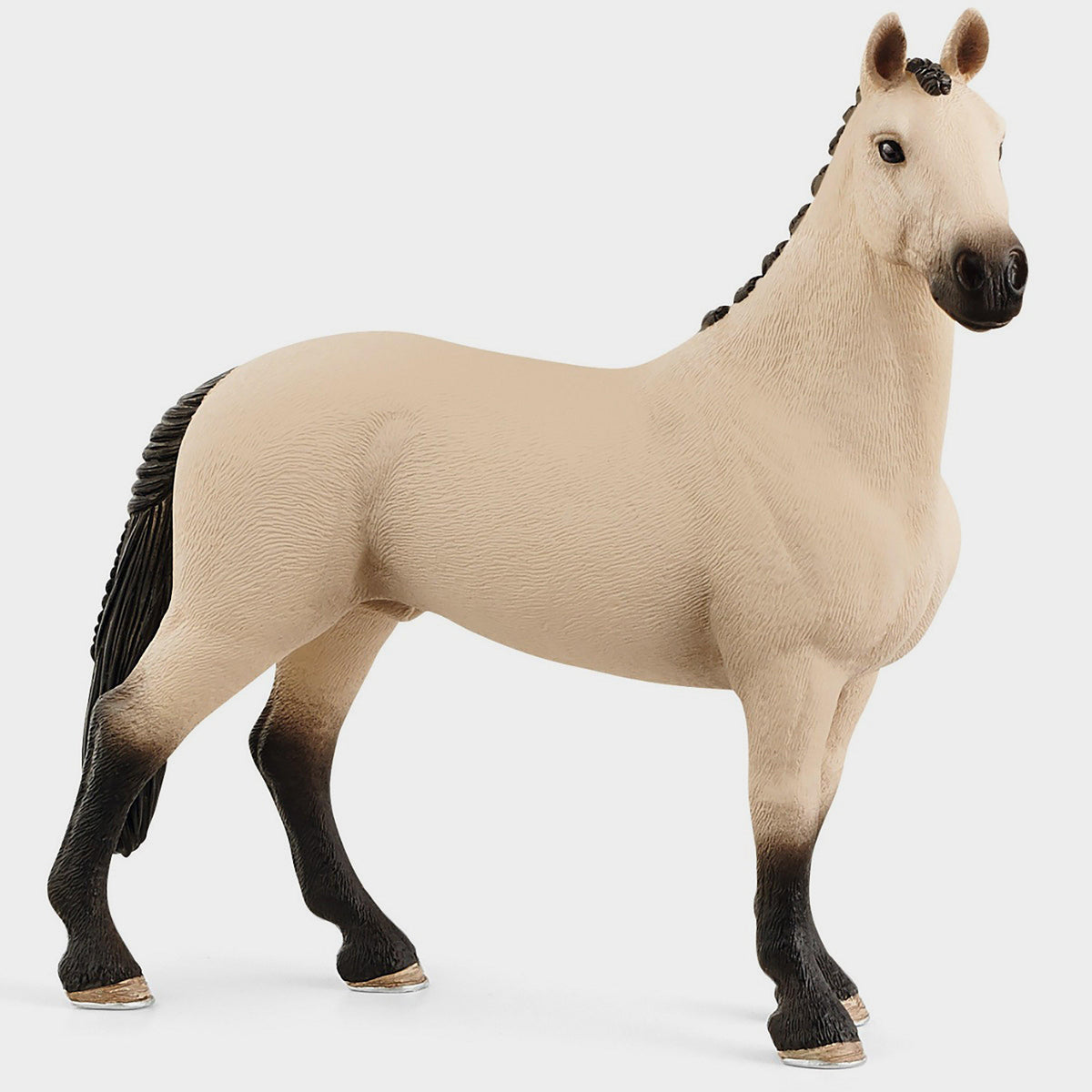 Hannoverian Gelding