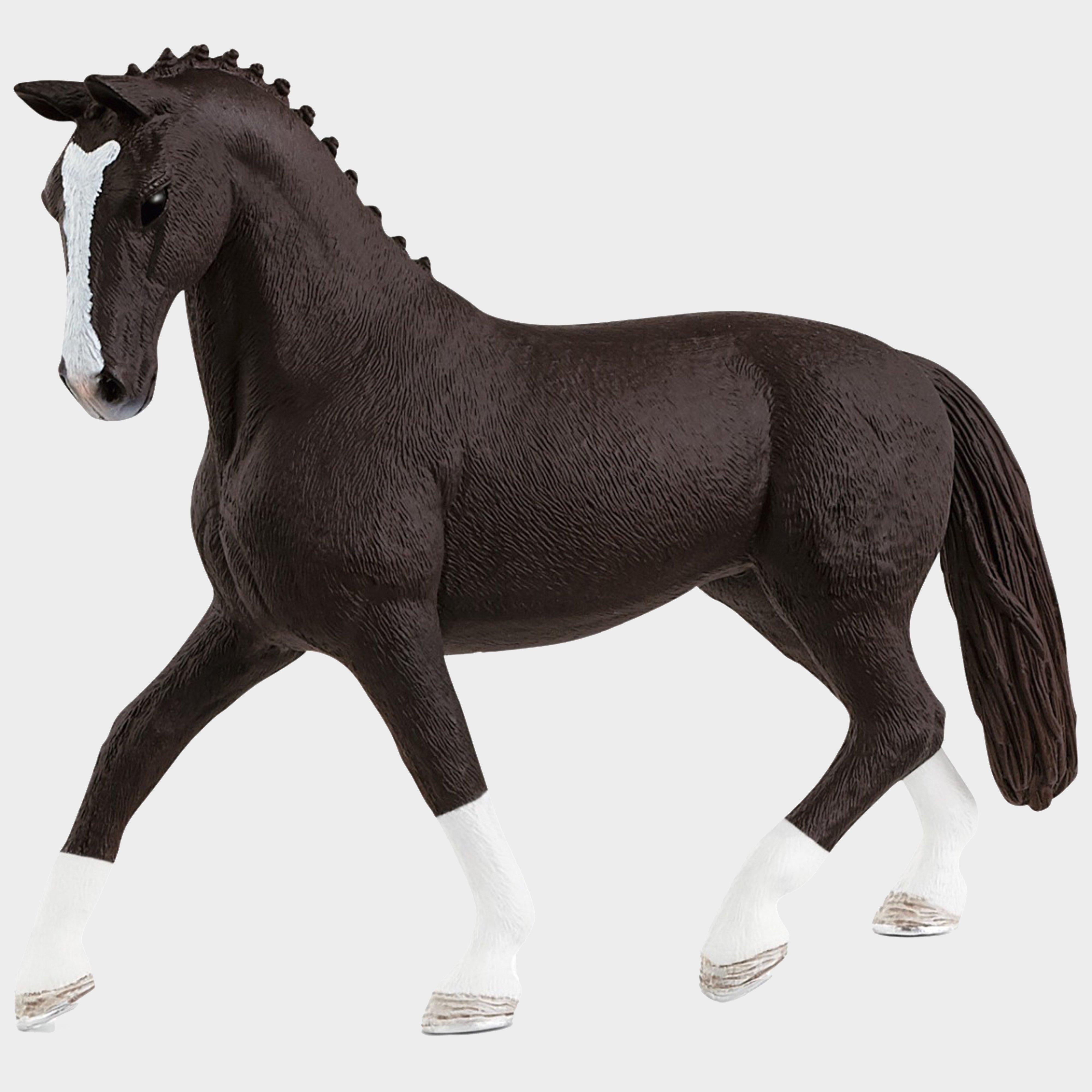 Hannoverian Mare