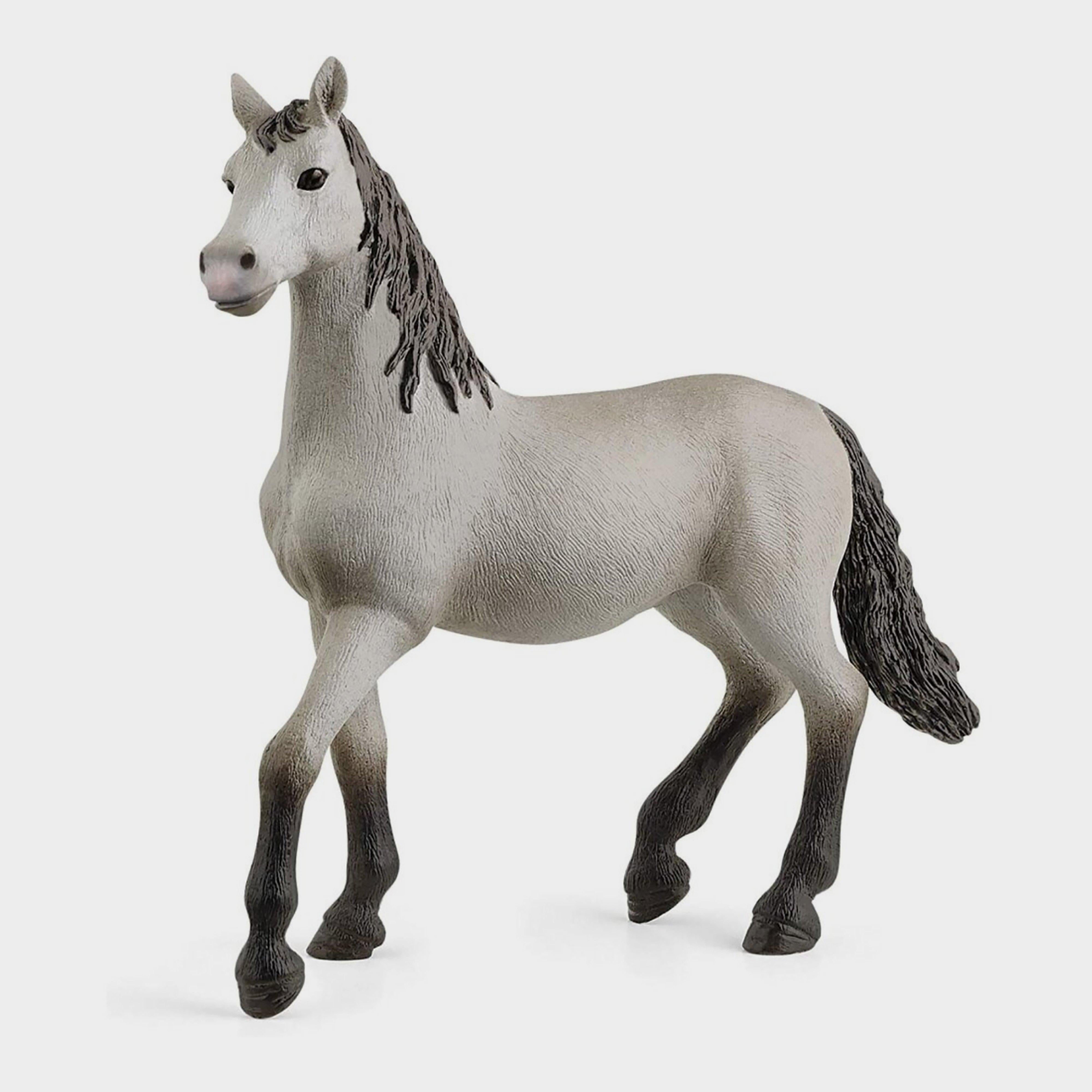 Pura Raza Española Stallion