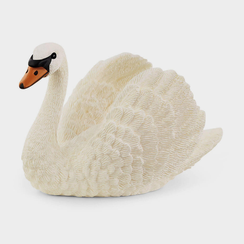 Swan