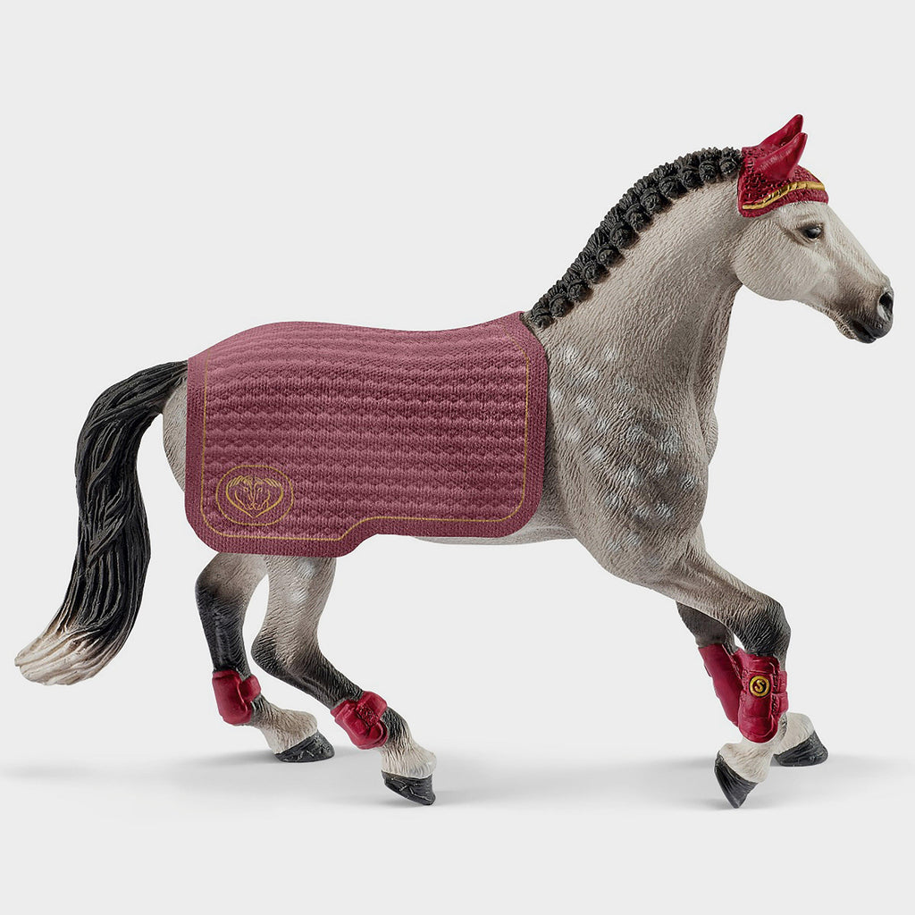 Trakehner Mare Riding Tournament