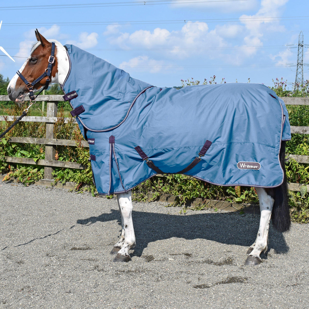 Lupin 250g Combo Detachable Neck Turnout Rug Blue