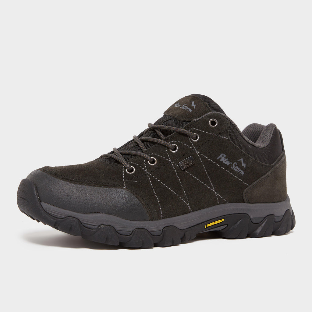 Men’s Silverdale II Waterproof Walking Shoes
