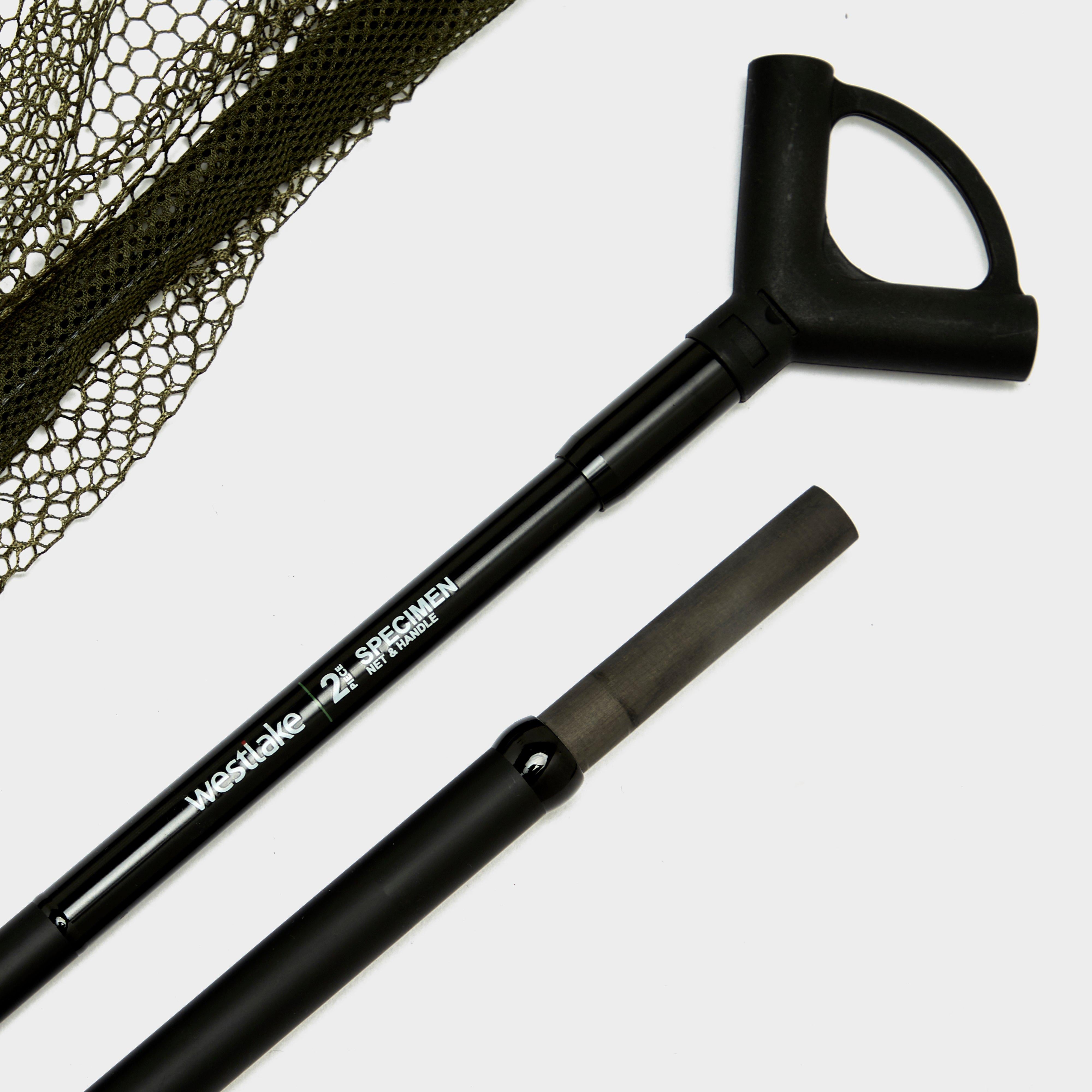 2-Piece Specimen Net and Handle