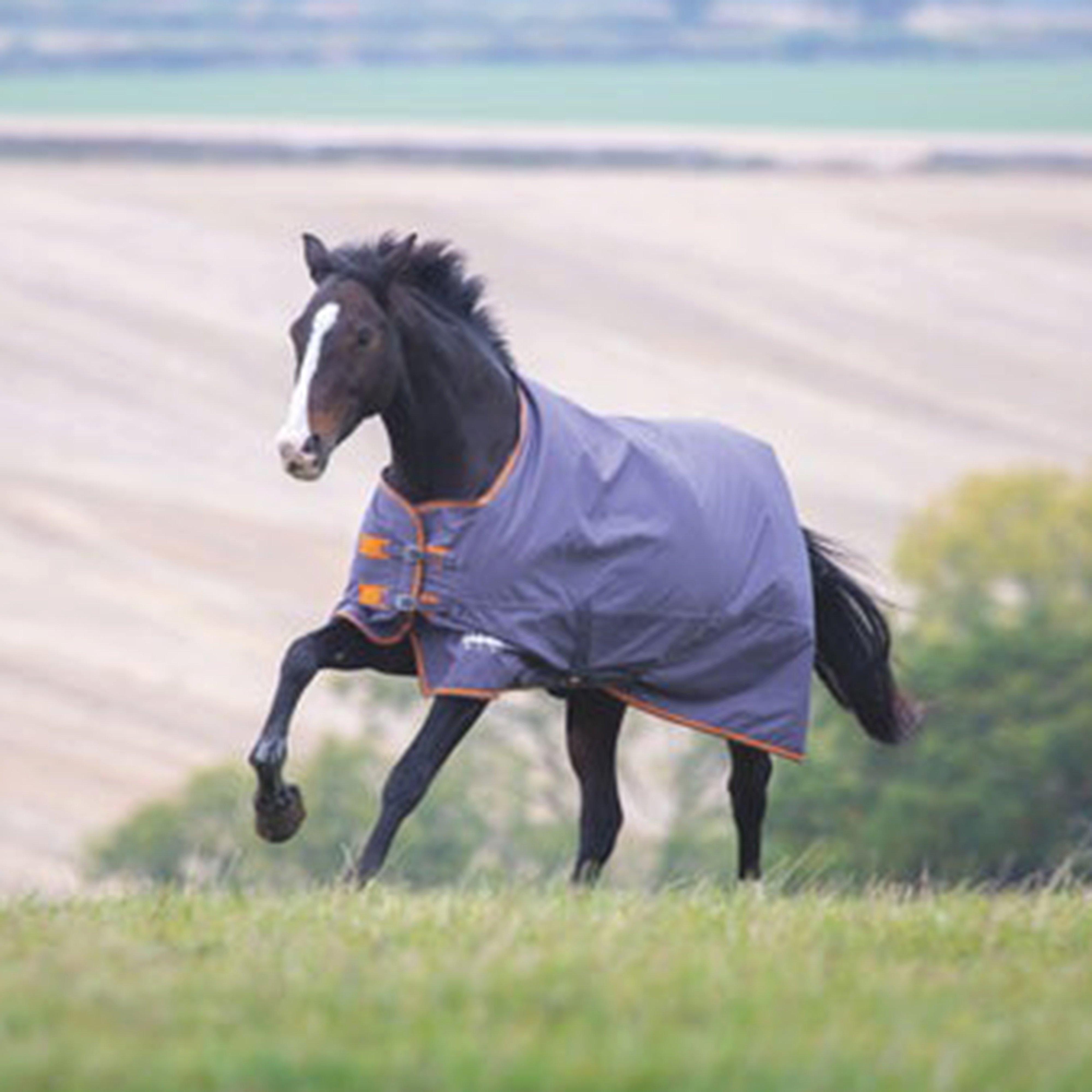 Tempest Original 200g Turnout Rug