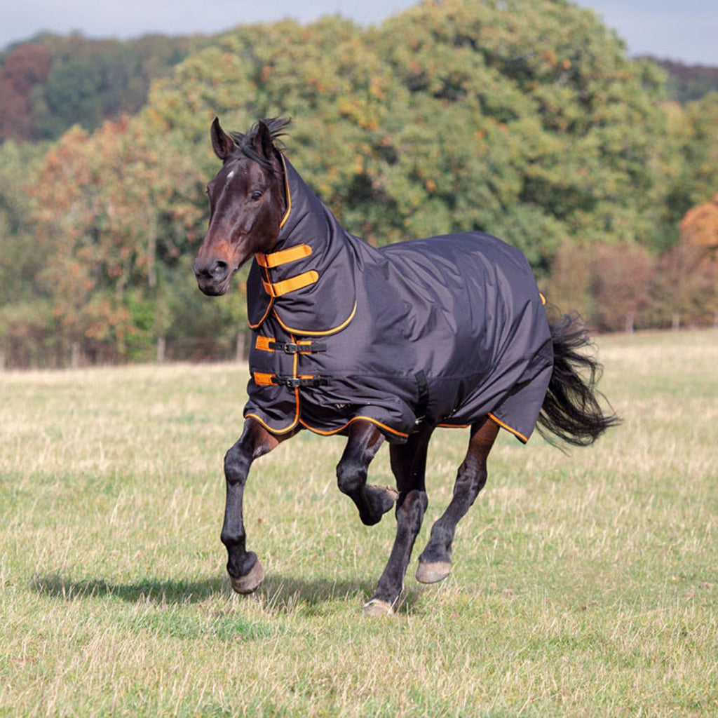 Tempest Original 200g Medium Weight Combo Neck Turnout Rug