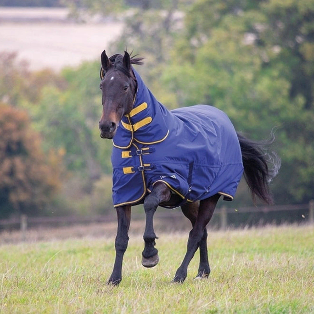 Tempest Original 300g Heavyweight Combo Neck Turnout Rug
