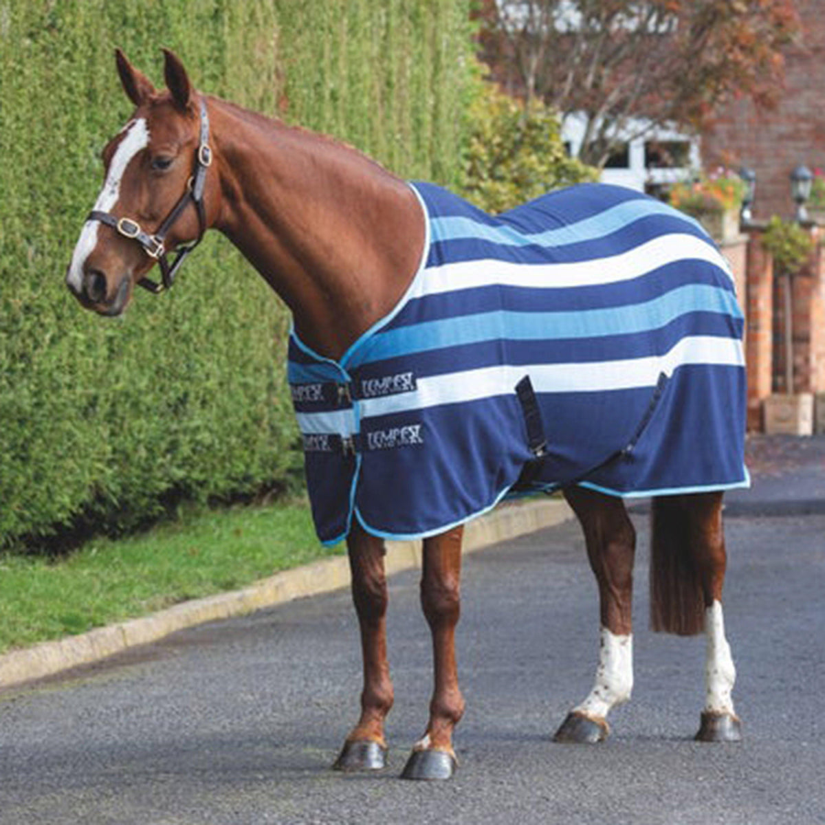 Tempest Original Striped Newmarket Fleece Rug