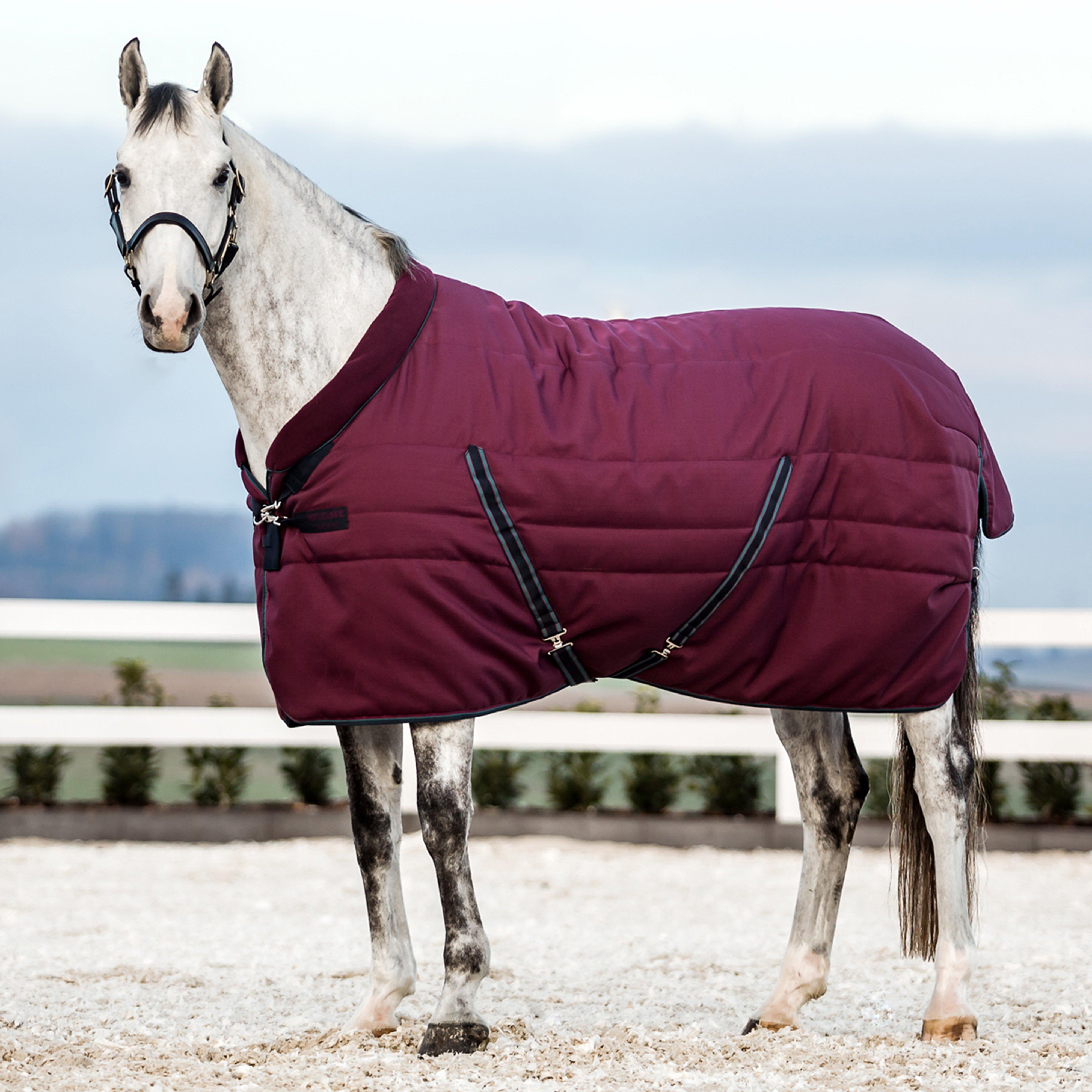 Cosy 200g Stable Rug