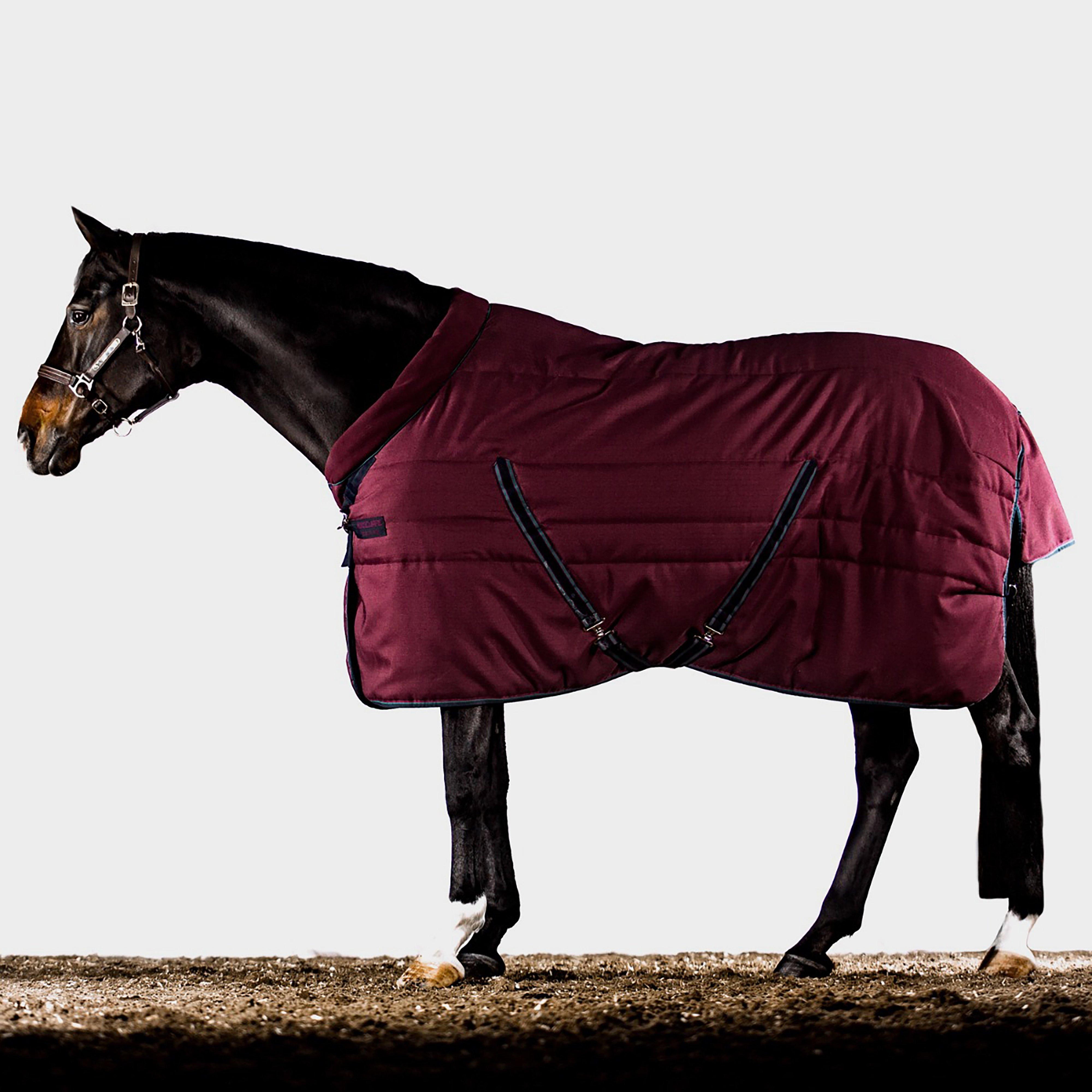 Cosy 200g Stable Rug