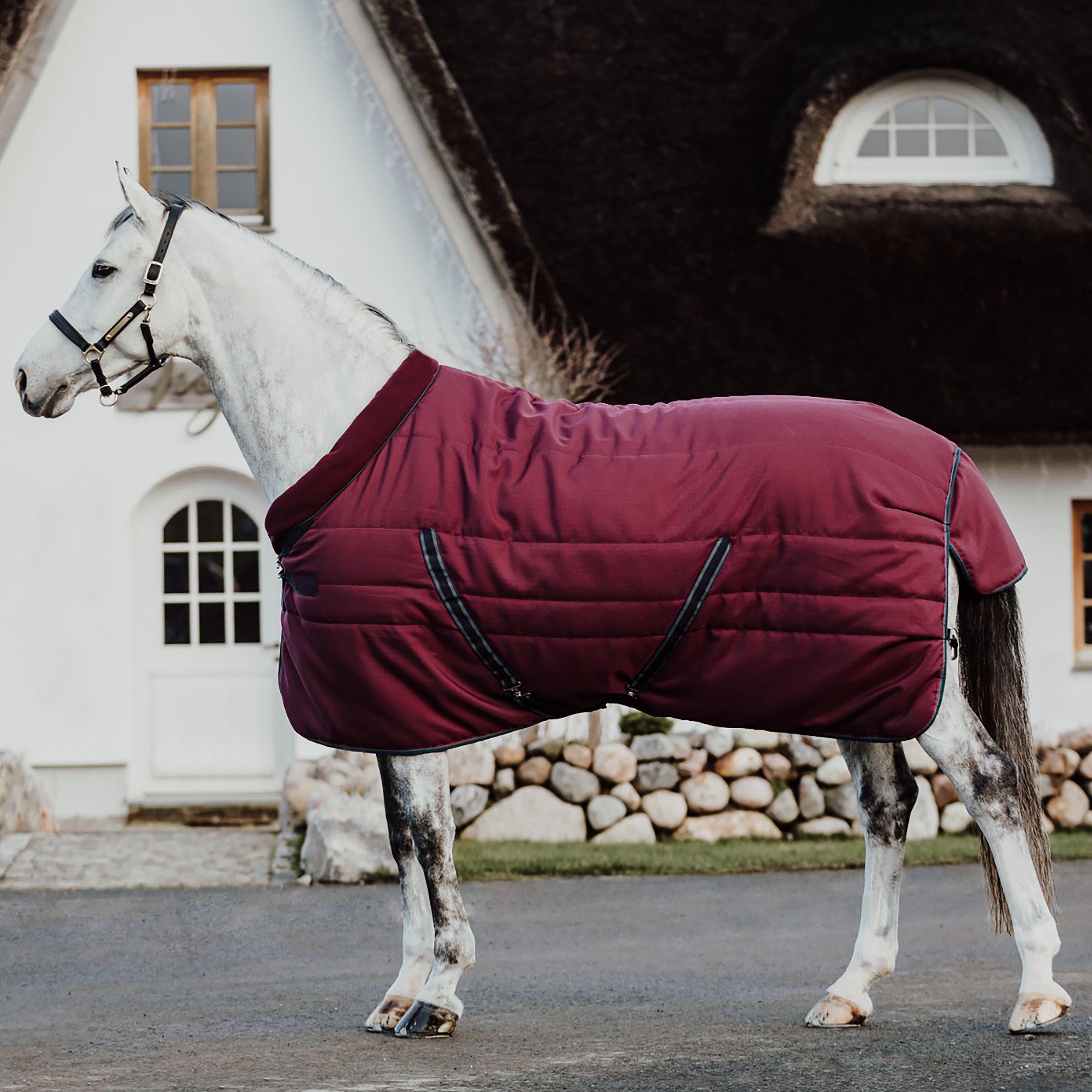 Cosy 200g Stable Rug