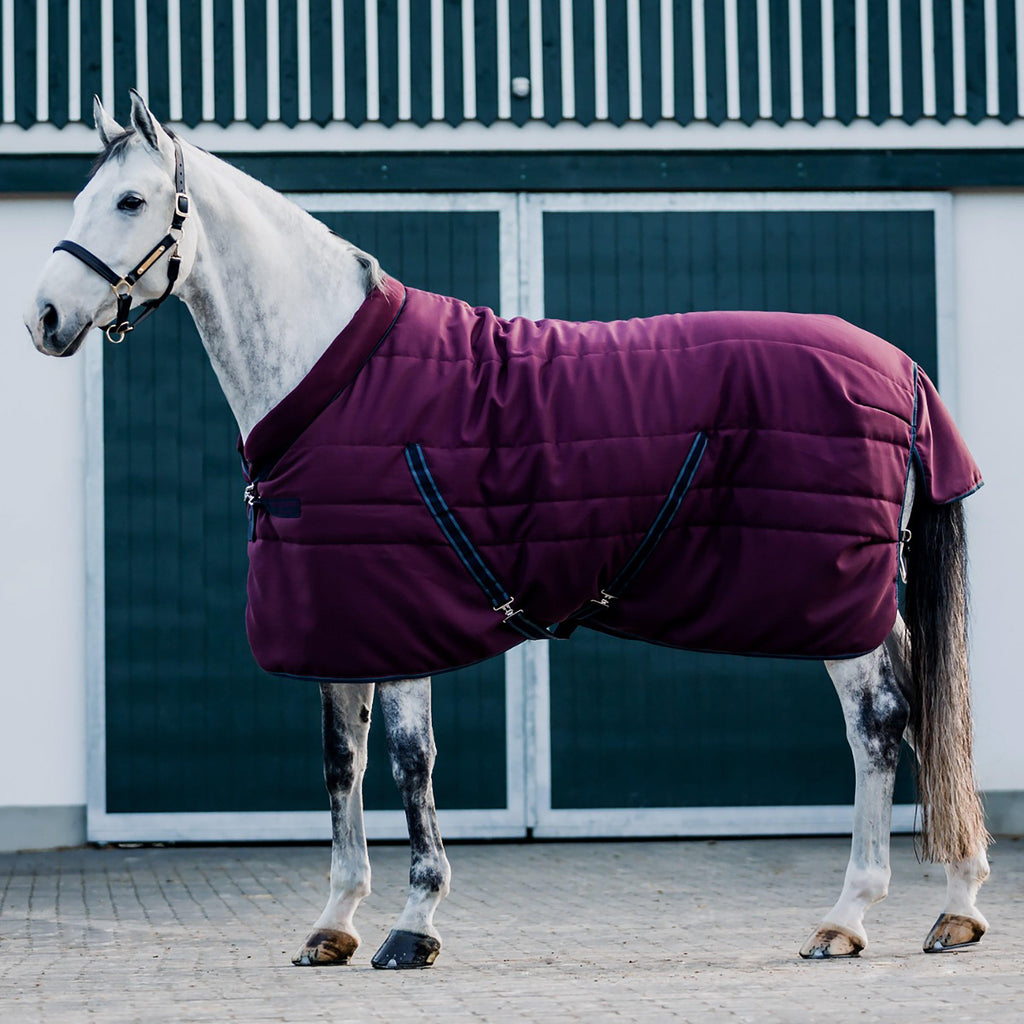 Cosy 200g Stable Rug