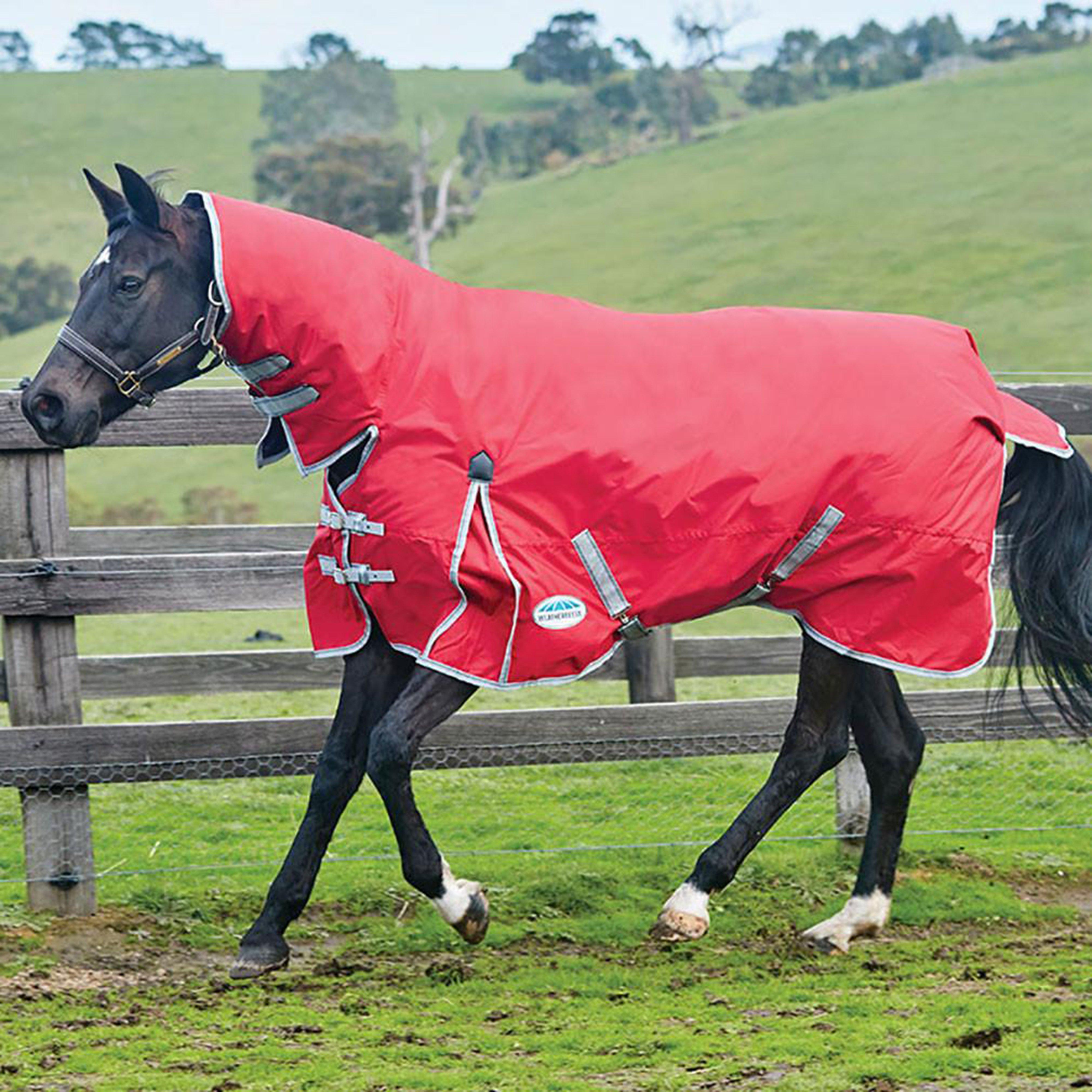 ComFiTec Classic Combo Rug Lite