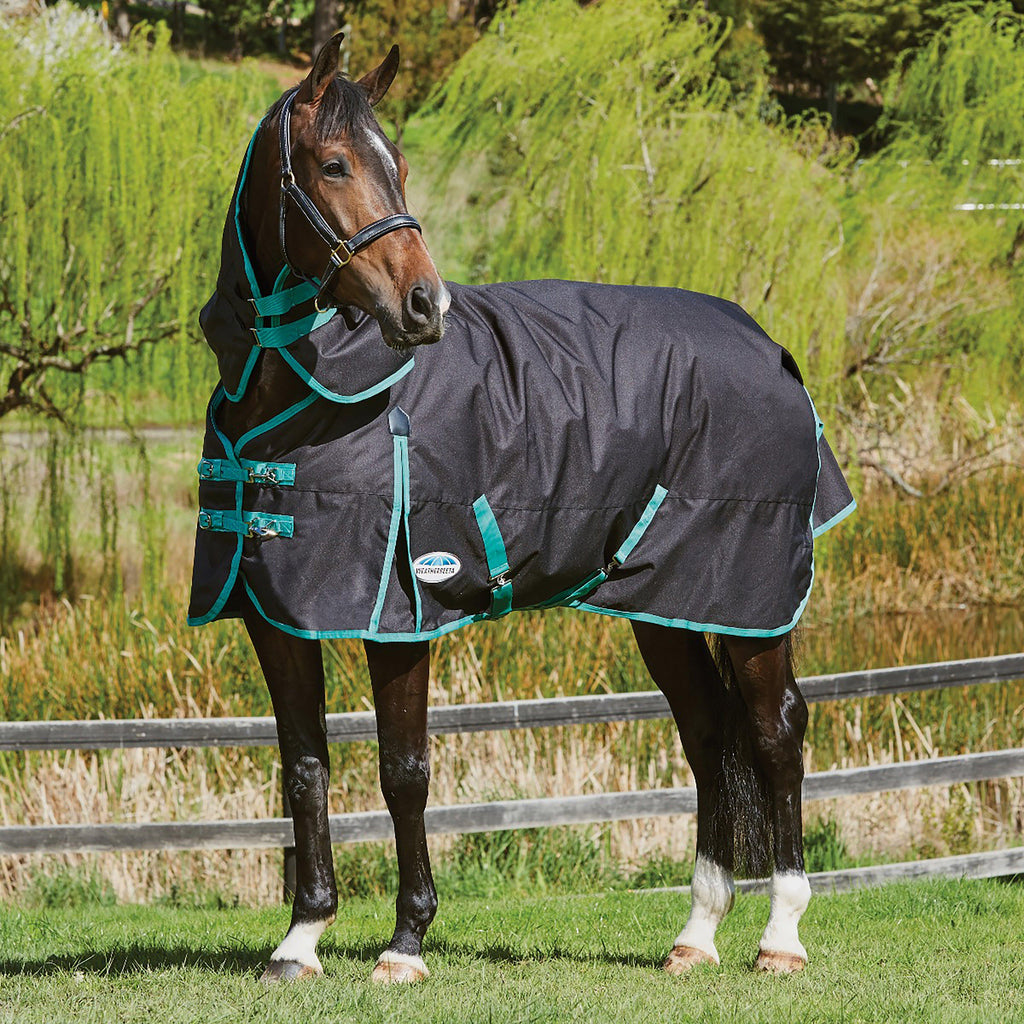 Green-Tec 900D 220g Medium Weight Detach-A-Neck Turnout Rug