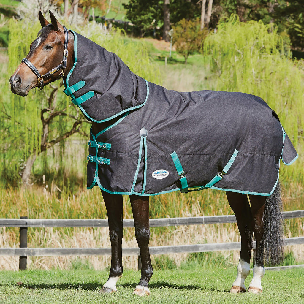 Green-Tec 900D 220g Medium Weight Detach-A-Neck Turnout Rug