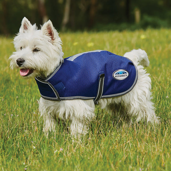 Comfitec Premier Free Parka Dog Coat