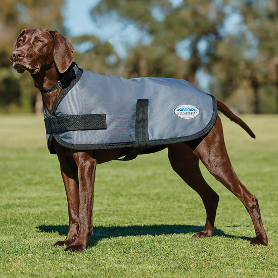 Comfitec Classic Dog Coat
