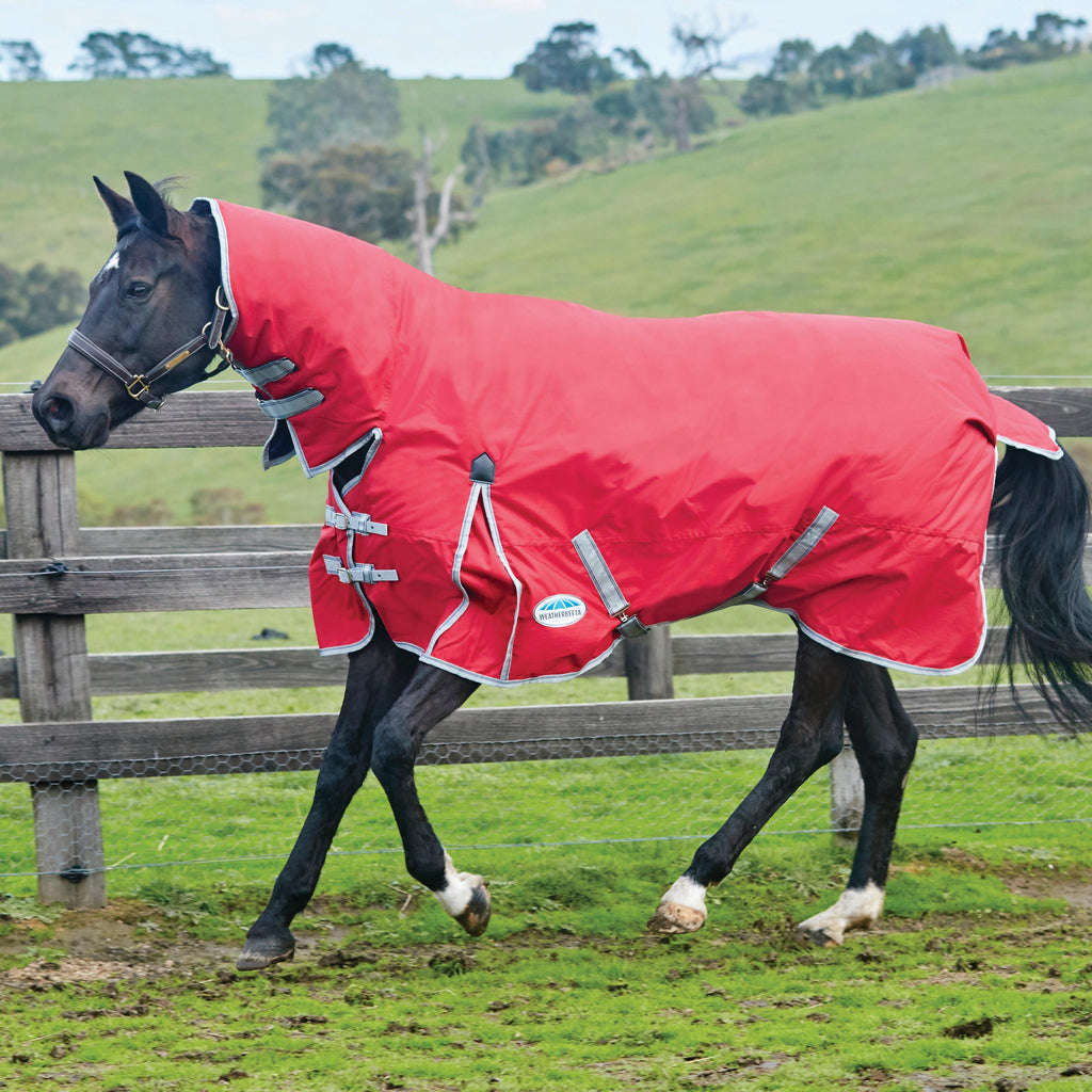 ComFiTec Classic Combo Rug Medium