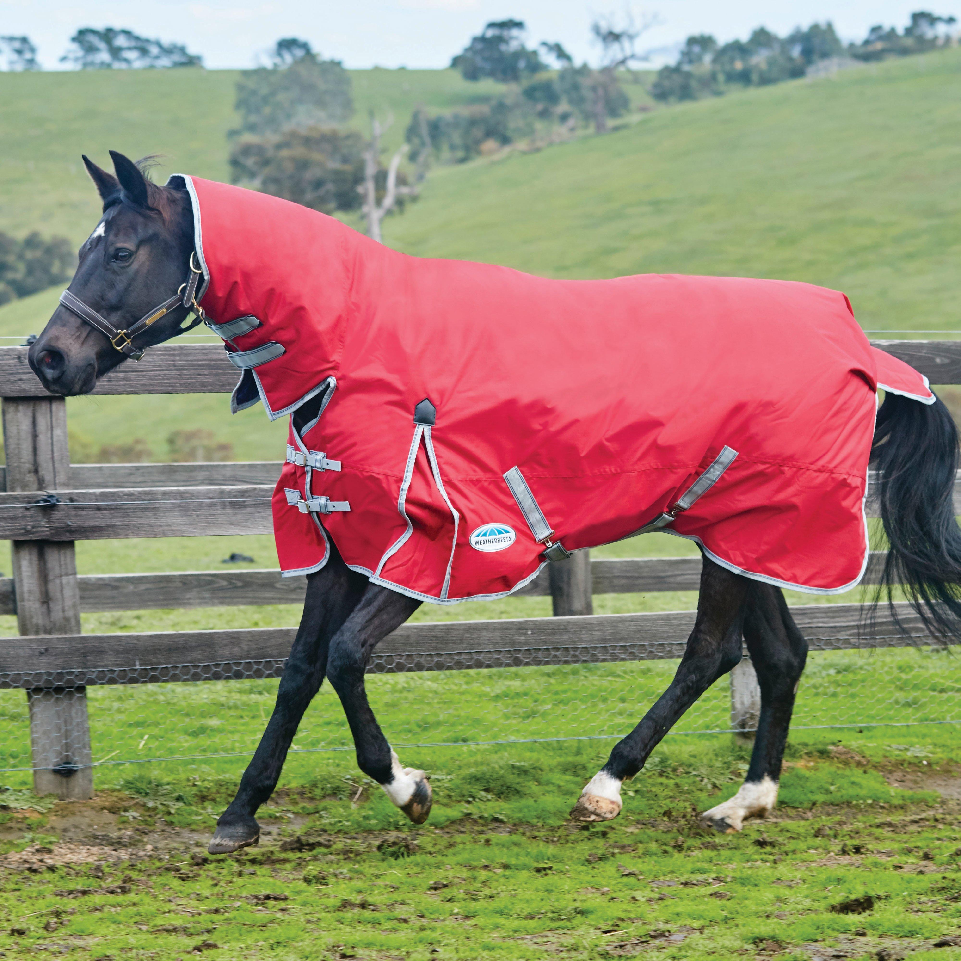 ComFiTec Classic Combo Rug Medium