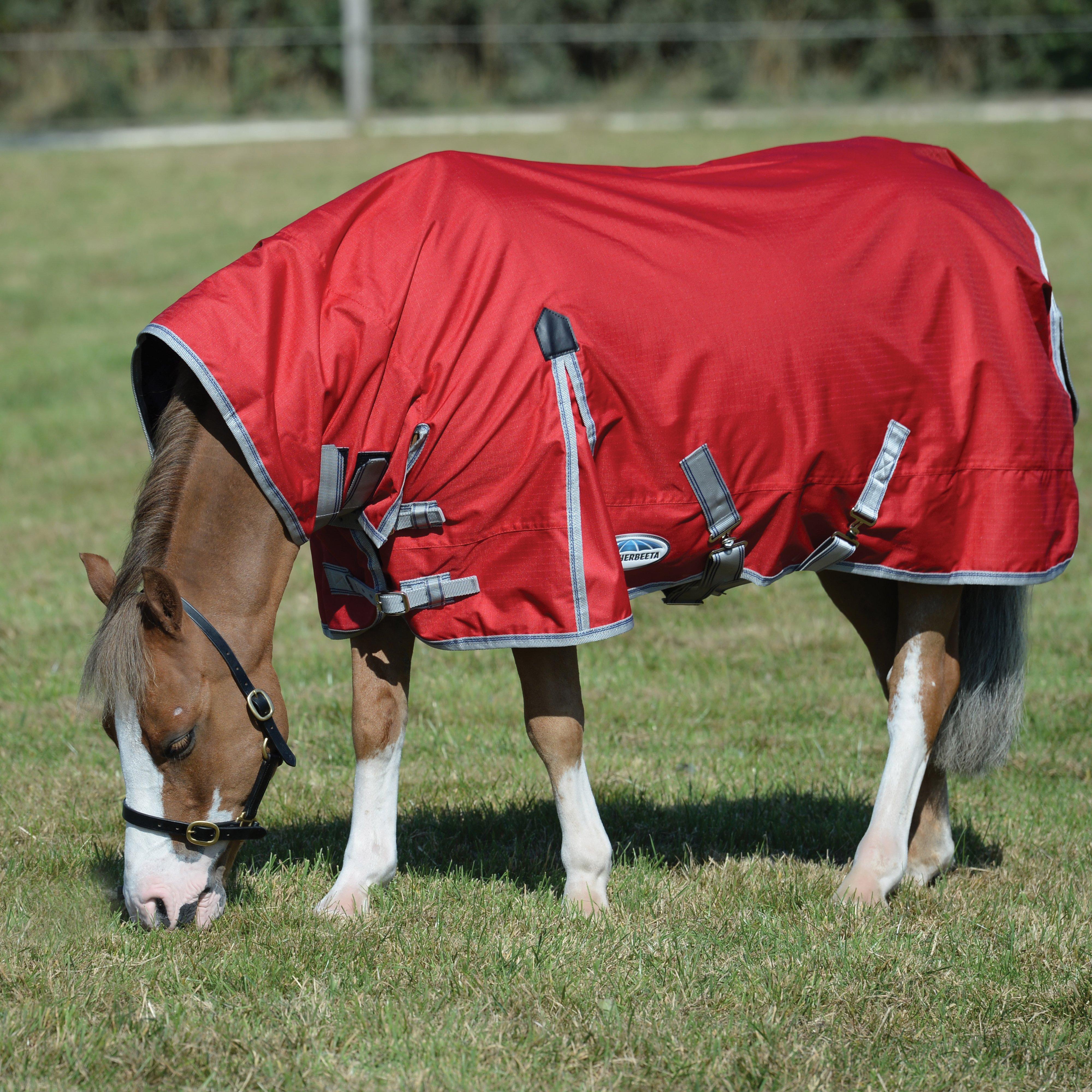 ComFiTec Classic Combo Rug Medium