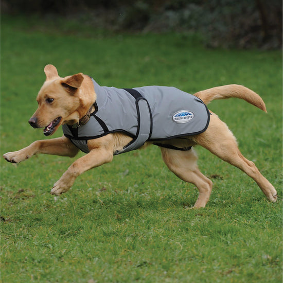 Comfitec Reflective Dog Coat Medium