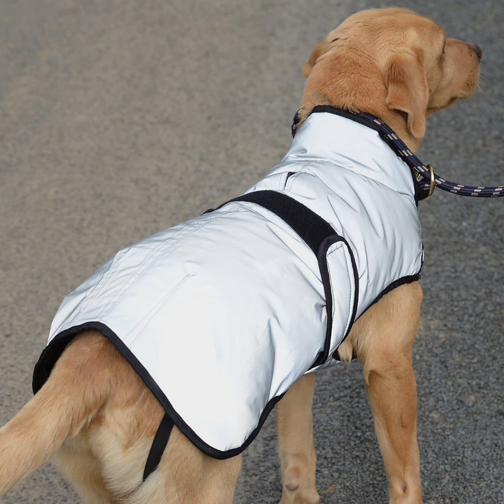 Comfitec Reflective Dog Coat Medium