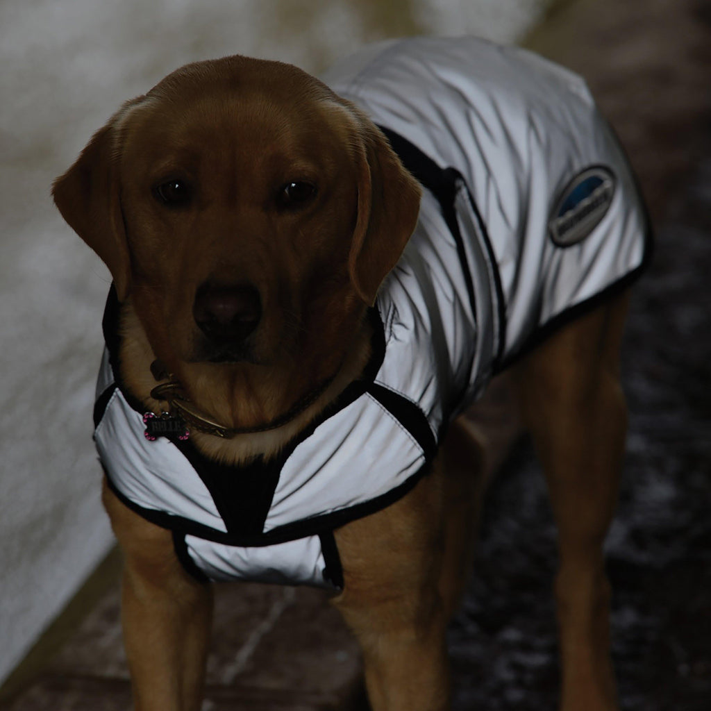 Comfitec Reflective Dog Coat Medium