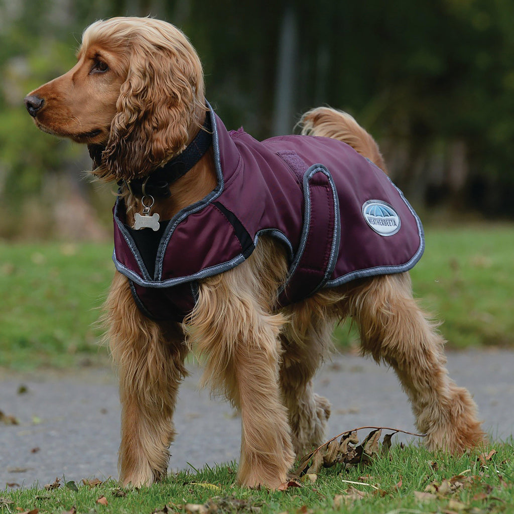 Comfitec Windbreaker Free Deluxe Dog Coat