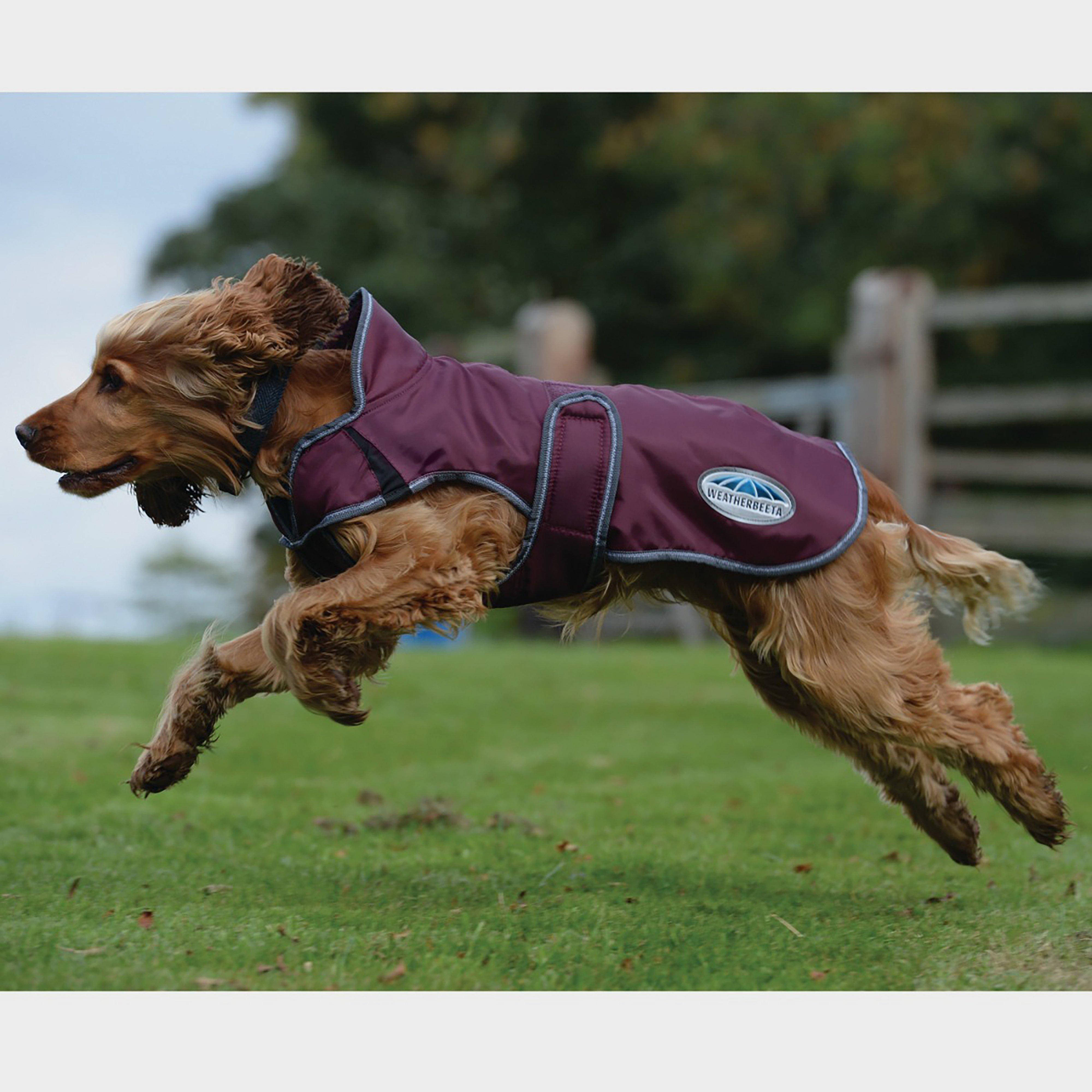 Comfitec Windbreaker Free Deluxe Dog Coat