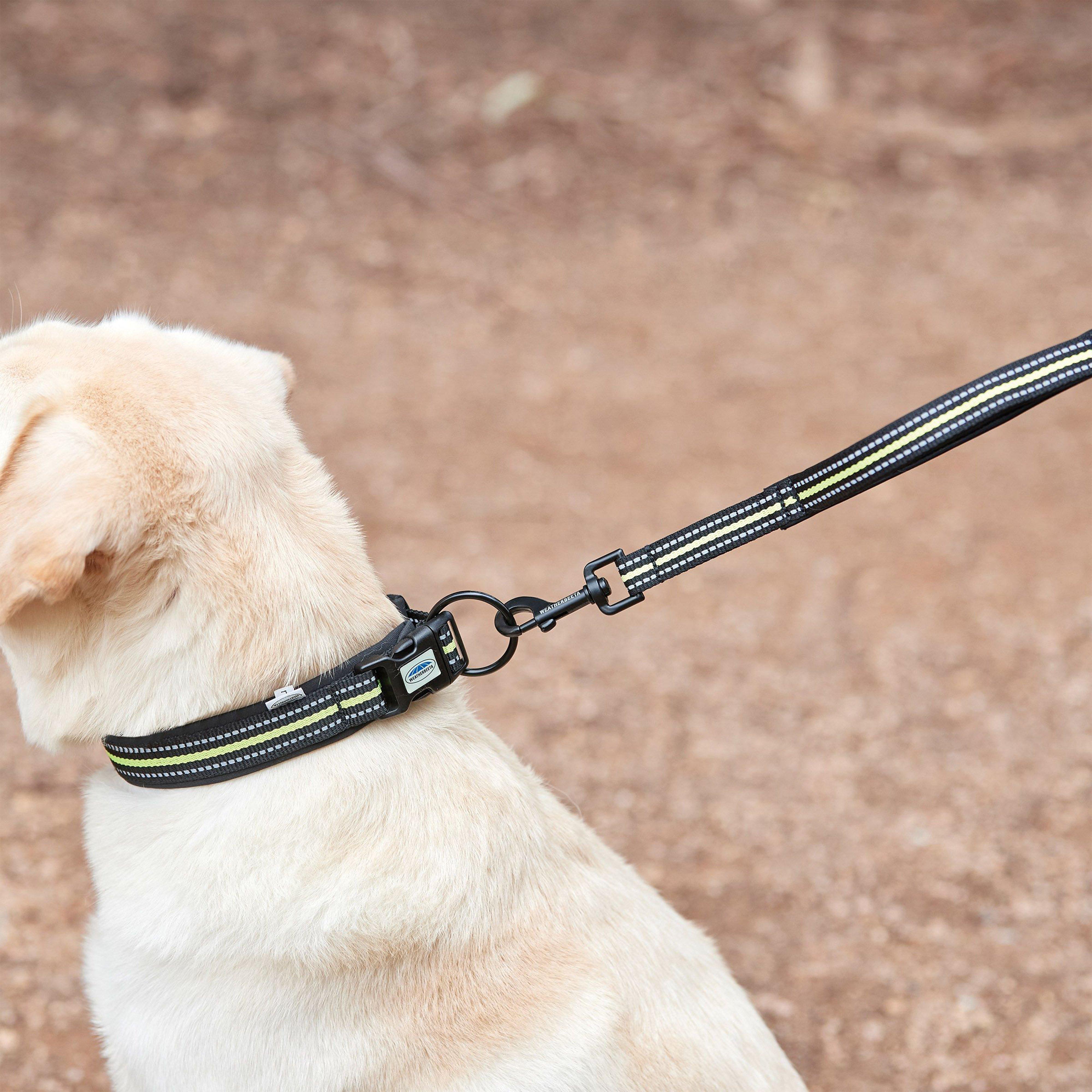 Reflective Dog Collar