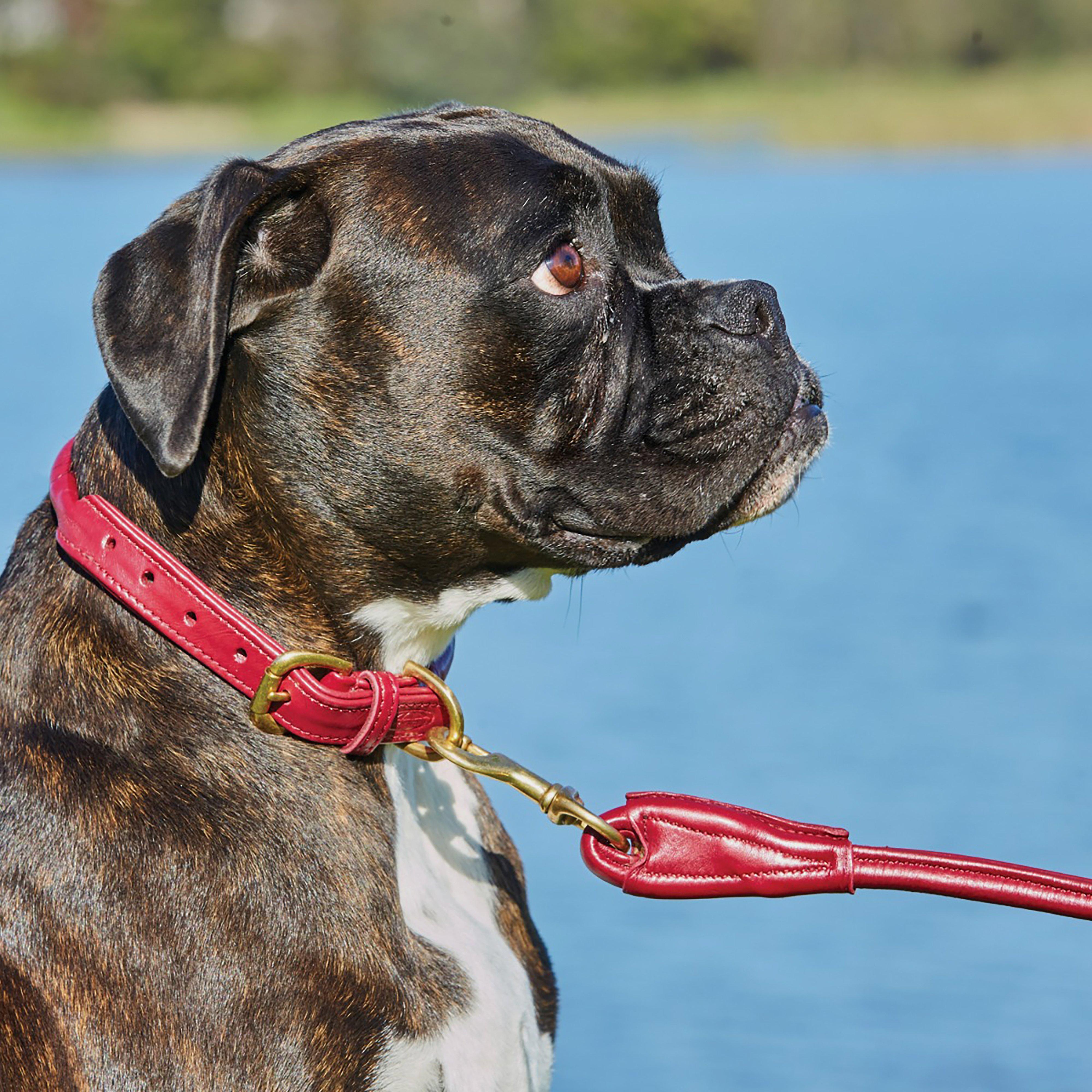 Rolled Leather Lead Maroon