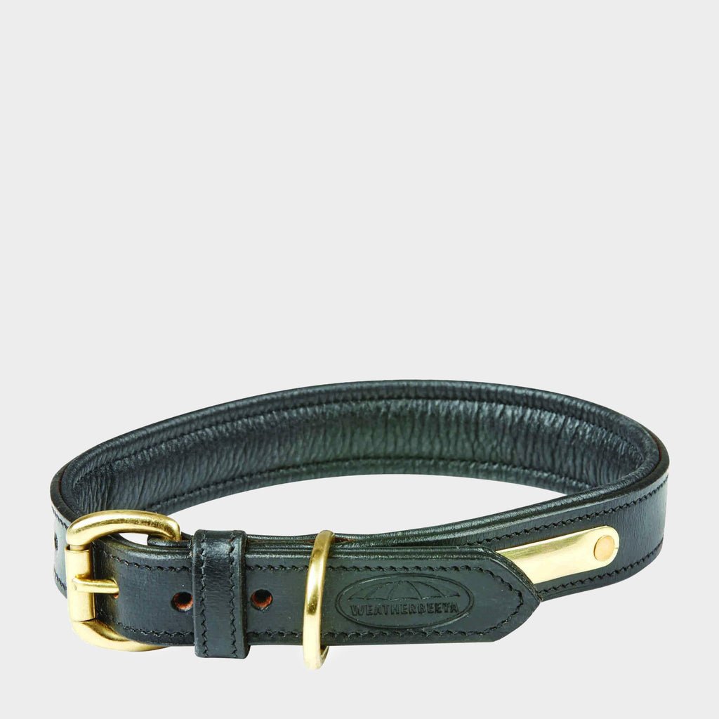 Padded Leather Dog collar