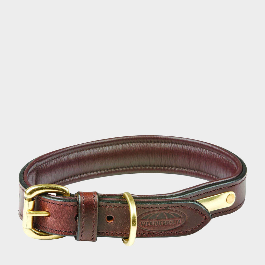 Padded Leather Dog collar