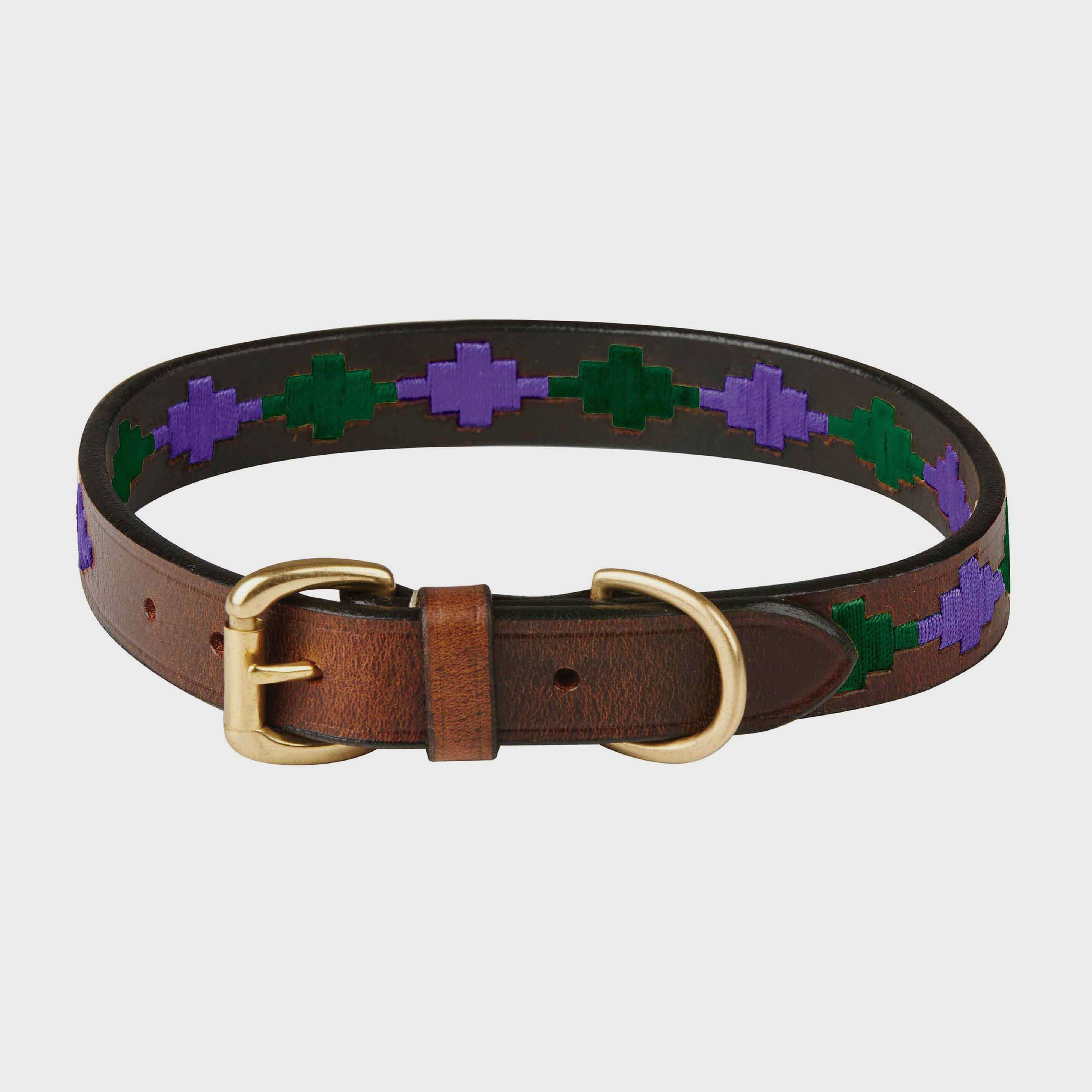 Polo Leather Dog Collar
