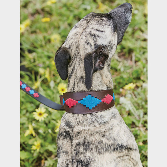 Lurcher Polo Leather Dog Collar