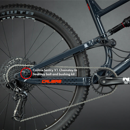 Sentry V1 Chainstay to Seatstay Bolt and Bushing Kit